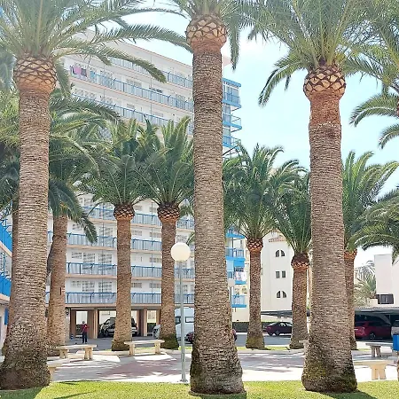 Exclusif En 1er Ligne, Vue Imprenable, Piscine, Parking Prive A Playa Mucha Vista, Alicante * El Campello
